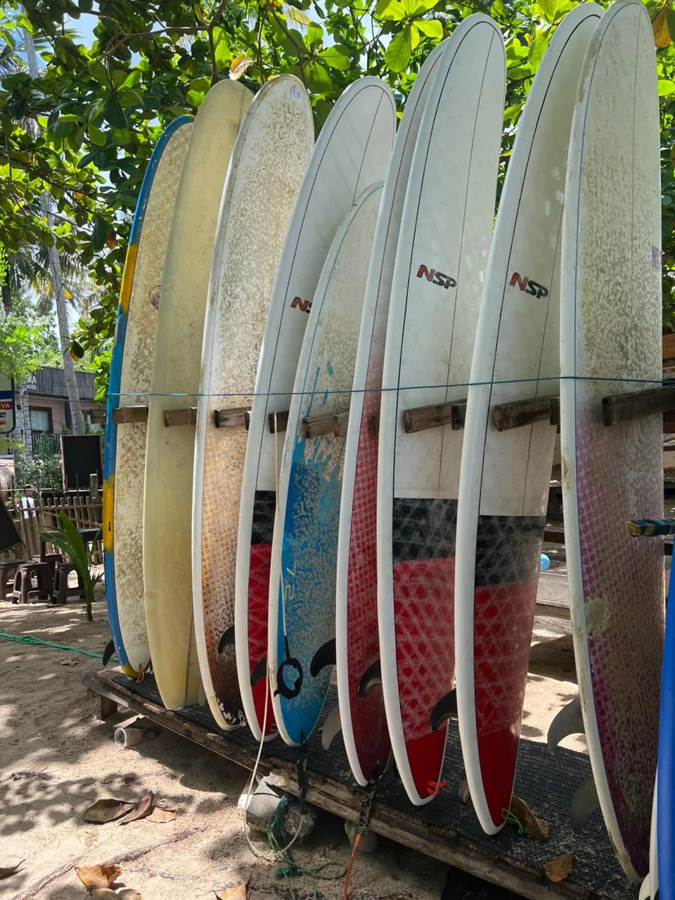 Selection of surfboards available for lessons and rentals